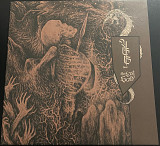 YGG "The Last Scald"