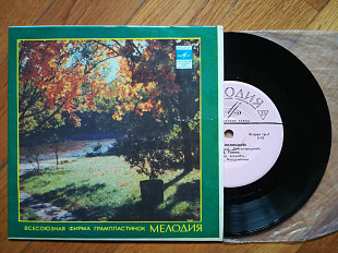 Д. Гнатюк-Очі волошкові, Квітка з полонини (лам. техн. конв.) (5)-NM+, 7"-Мелодія