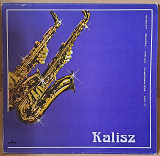 Kalisz. X-lecie Międzynarodowych Festiwali Pianistów Jazzowych (сборник) 1981г.