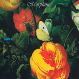 Morphine - Good.