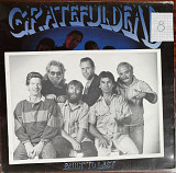 Grateful Dead “ Buit to last “