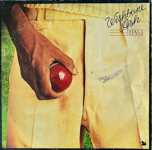 Wishbone Ash – There's The Rub