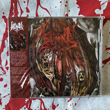 Lie In Ruins - Swallowed By The Void - CD with OBI strip