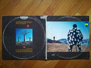 Пинк Флойд-Pink Floyd-Delicate sound of thunder (2)-2 LPs-G+, Мелодія