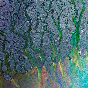 Alt-j - An Awesome Wave.