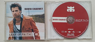 David Charvet Leap of Faith