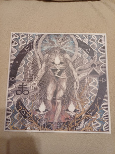 Concatenatus 12lp новий