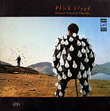 Pink Floyd – Delicate Sound Of Thunder (2 LP) /1988/ Мелодия / USSR