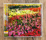 Islet - Celebrate This Place With Me (Японія)