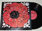 Пластинка Камерно-инструментальный ансамбль ''Горизонт'' (Horizon) - ‎ЛЕТНИЙ ГОРОД (МОЗГ, 1986) Nm