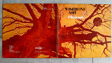 WISHBONE ASH PILIGRIMAGE ( MCA 2MDKS 8004 / 7-LMN-244-2L / 7-LMN-245-1L ) G/F 1971 GT BRITAIN