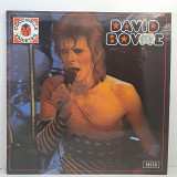 David Bowie – David Bowie LP 12" (Прайс 48231)