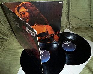 Ted Nugent Double Live Gonzo ! 1978 Epic Holland EX ++ / NM / NM