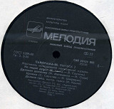 ПАНОРАМА - 86 ВЫПУСК 2 С60 25131_32 USSR_1987