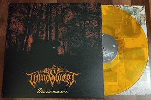 WINDSWEPT - Visionaire (Clear orange)