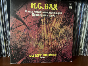 Альберт Швейцер, орган