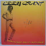 Eddy Grant – Walking On Sunshine LP 12" (Прайс 48354)