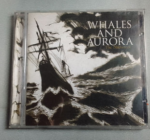 Whales And Aurora - The Shipwreck