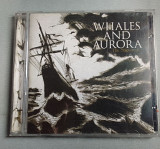 Whales And Aurora - The Shipwreck