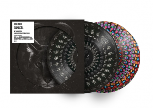 Disclosure - Caracal