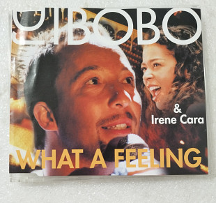 Maxi-Single DJ BOBO & Irene Cara 2001 What A Feeling (Germany)