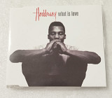 Maxi-Single HADDAWAY 1992 What Is Love (Germany)