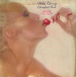 Wild Cherry – Electrified Funk