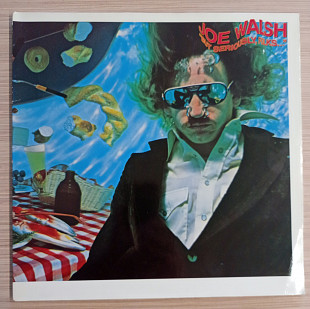 Joe Walsh – "But Seriously, Folks..."