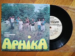 Арніка-В Самборі (1)-NM+, 7"-Мелодія