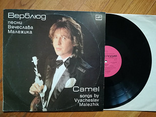 Верблюд-Песни Вячеслава Малежика (3)-Ex.+, Мелодія