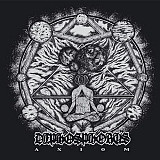 Dephosphorus - Axiom (12", 2011)