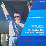 Steve Walsh – I Found Lovin'