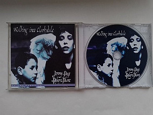 Jimmy Page / Robert Plant Walking into Clarksdale