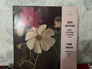 Андрій Штогсренко/Вадим Гомоляка