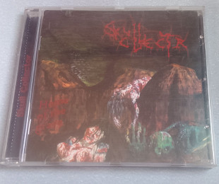 Skull Collector - Home Of The Grave