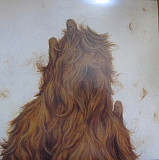 Grappling Hook – ...And Those Who Would Keep Us Safe ( USA ) LP