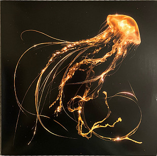 Вінілова платівка Royal Blood - Back To The Water Below (140 Gr Black) 1LP (5054197678714)