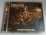Remnant - Instrumentals Unleashed