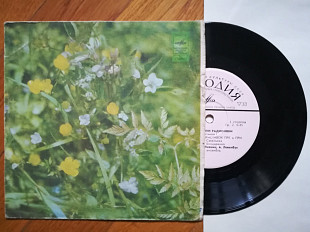 Веселые уроки Радионяни-Пластинка 1-NM-, 7"-Мелодія