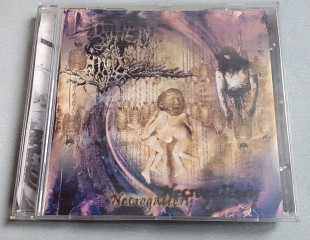 Rotten Minds - Necrogallery