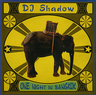 DJ Shadow 2005 One Night In Bangkok