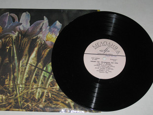 Пластинка Концерт Государственного Украинского народного хора - ЗАЦВІЛА В ЛУЗІ ЛОЗА * Козачок (1956)