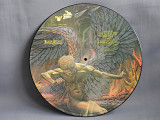 Judas Priest ‎The Best Of Judas Priest LP UK пластинка 1978 M Picture Disc
