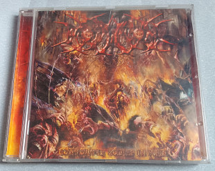 Profanation - Contorted Bodies In Pain