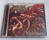 Parasital Existence - Endless Torments