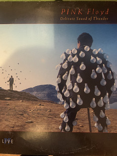 Pink Floyd Delicate Sound of thunder