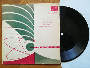 Сніг летить, Вишневий цвіт, На калині мене мати колихала (1)-NM, флексі-Мелодія