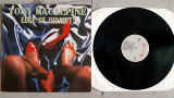 TONY MACALPINE EDGE OF INSANITY ( ROADRUNNER RR 9706 A/B ) 1986 HOLL