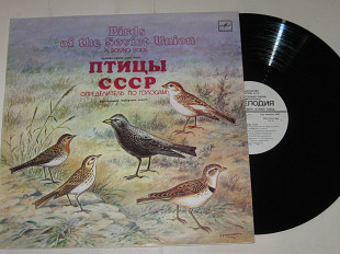 Пластинка Б. Вепринцев - ПТИЦЫ СССР - Воробьиные: жаворонки, коньки / определитель по голосам (1986)