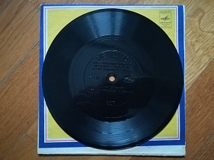 Поет Владимир Макаров-Последняя электричка (1)-Ex.-, флексі-Мелодія